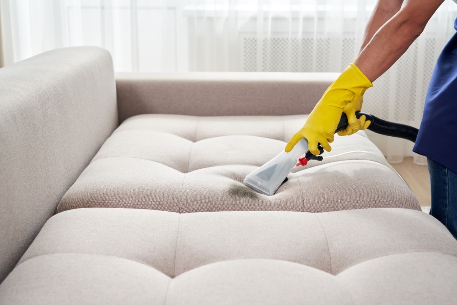 Cover Image for Programa de Fidelidade para Limpeza de Sofa e Tapete: Como Transformar um Servico Avulso em Receita Recorrente