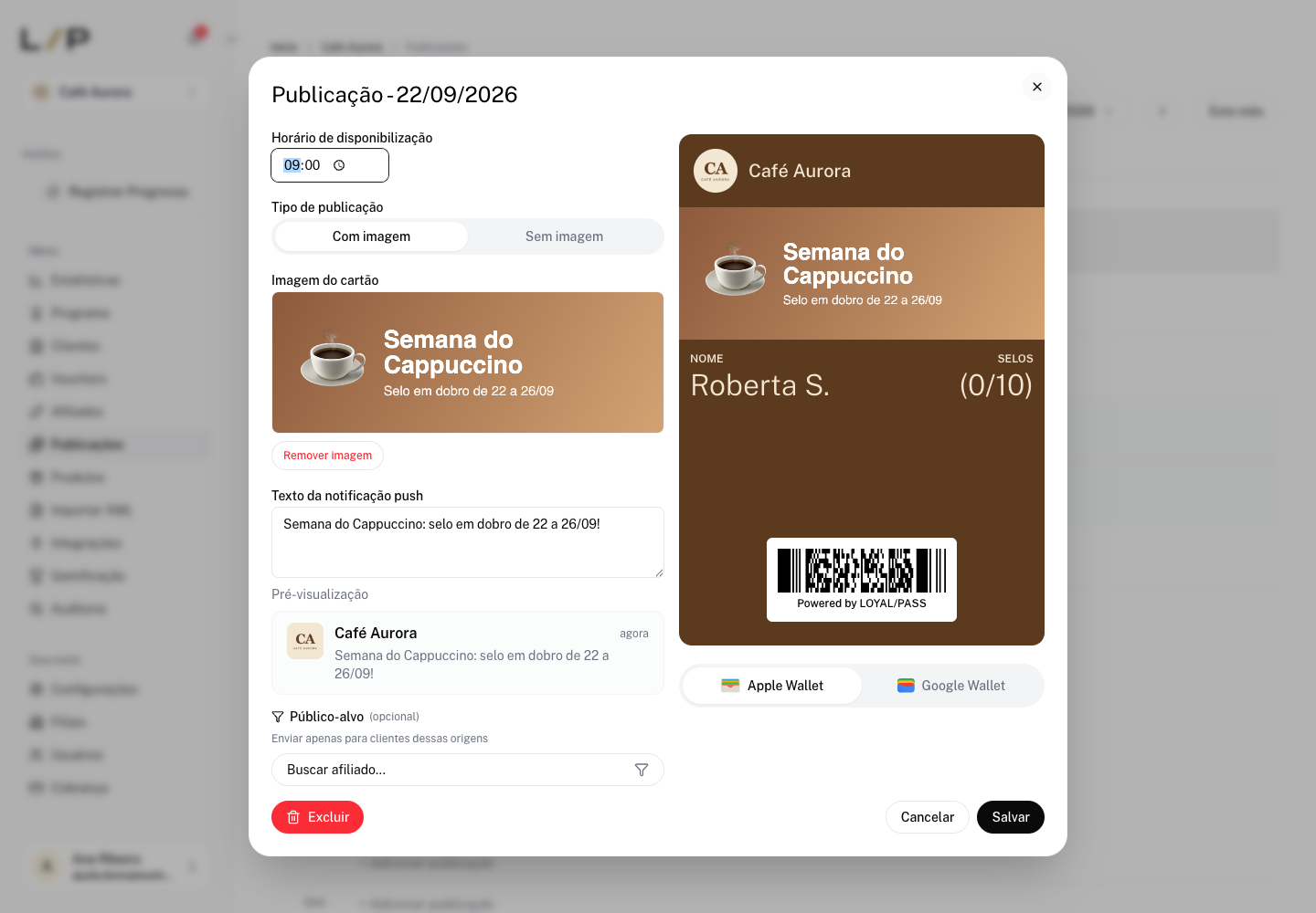 Janela de publicação Com imagem, com a imagem recortada, o texto do push e a pré-visualização do cartão